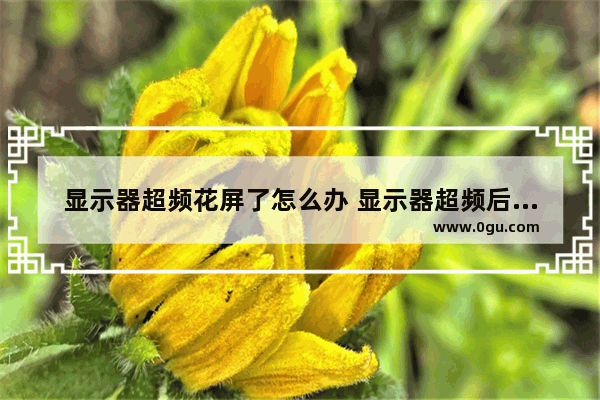 显示器超频花屏了怎么办 显示器超频后怎么恢复