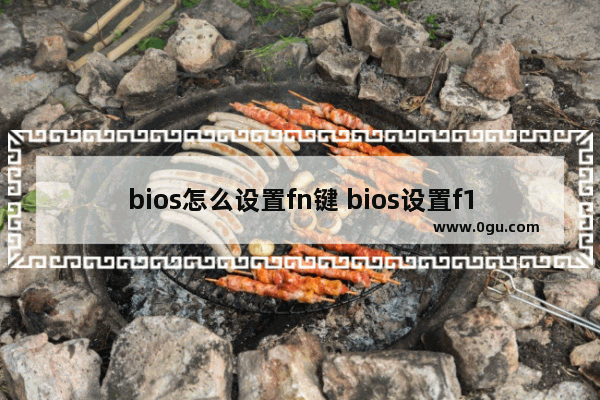 bios怎么设置fn键 bios设置f1