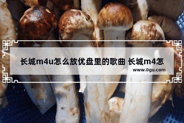 长城m4u怎么放优盘里的歌曲 长城m4怎么听歌