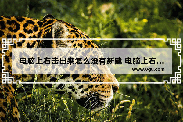 电脑上右击出来怎么没有新建 电脑上右击出来怎么没有新建文件夹