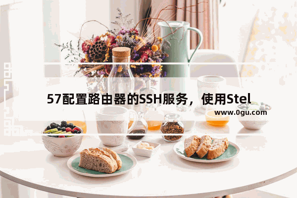 57配置路由器的SSH服务，使用Stelnet登录路由器