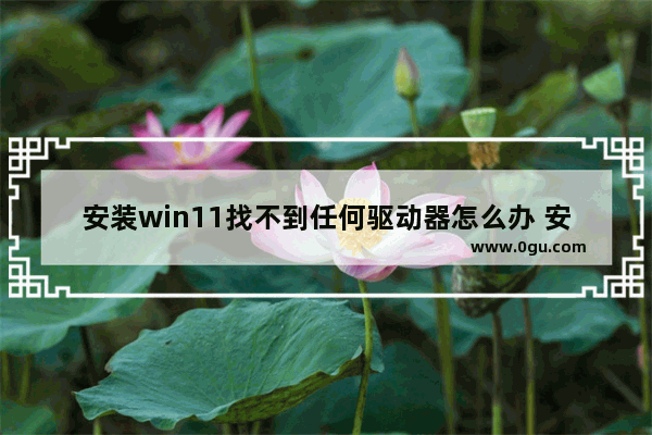 安装win11找不到任何驱动器怎么办 安装win11找不到任何驱动器解决办法