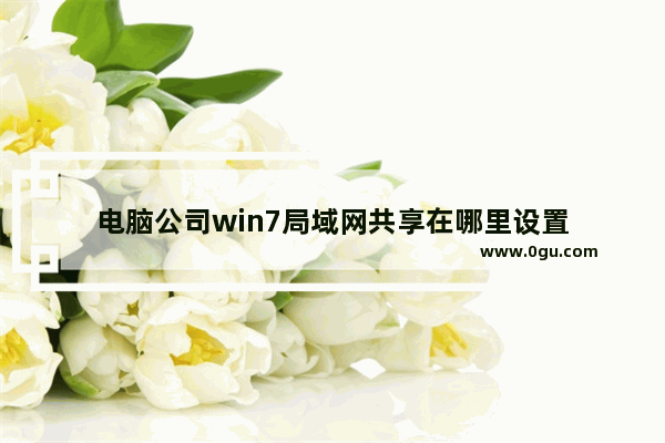电脑公司win7局域网共享在哪里设置