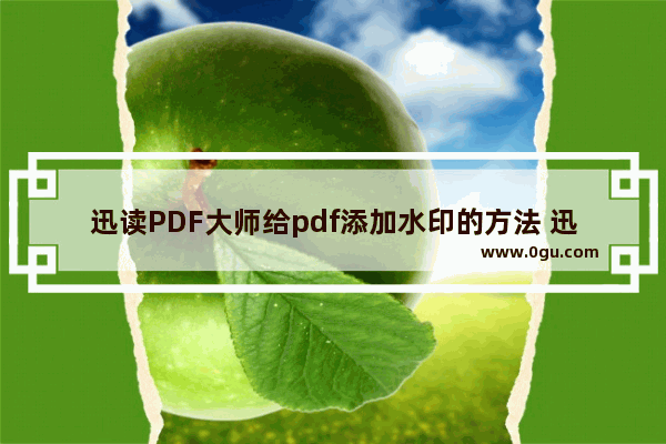 迅读PDF大师给pdf添加水印的方法 迅读PDF大师水印功能怎么用