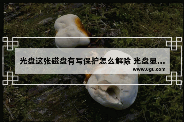 光盘这张磁盘有写保护怎么解除 光盘显示磁盘写保护