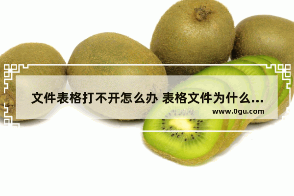 文件表格打不开怎么办 表格文件为什么打不开