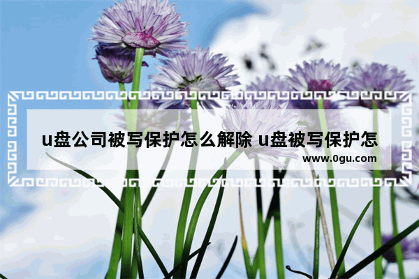 u盘公司被写保护怎么解除 u盘被写保护怎么解除最简单的方法