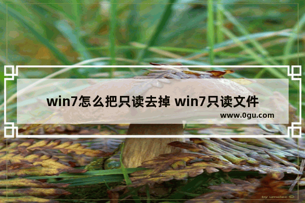 win7怎么把只读去掉 win7只读文件怎么取消只读