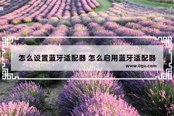 怎么设置蓝牙适配器 怎么启用蓝牙适配器