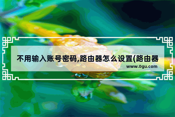 不用输入账号密码,路由器怎么设置(路由器怎么设置不了密码)