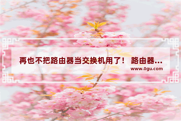 再也不把路由器当交换机用了！ 路由器的一个设置方法