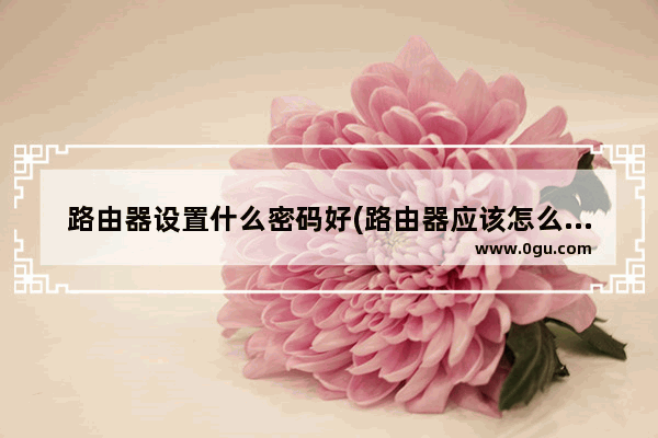 路由器设置什么密码好(路由器应该怎么设置密码)