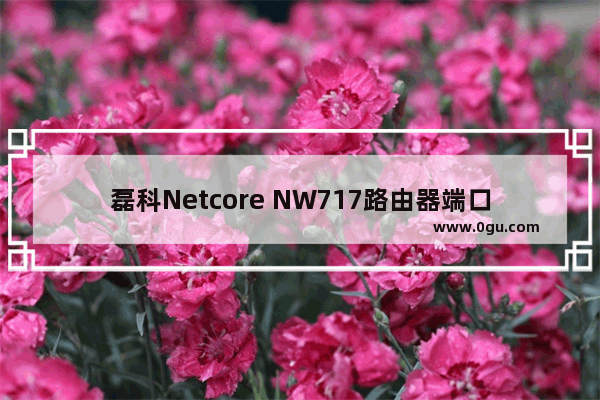 磊科Netcore NW717路由器端口映射如何设置方法