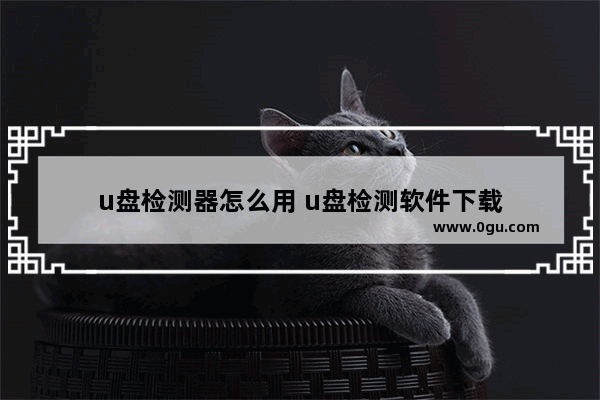 u盘检测器怎么用 u盘检测软件下载