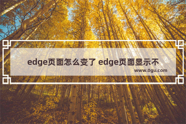 edge页面怎么变了 edge页面显示不全