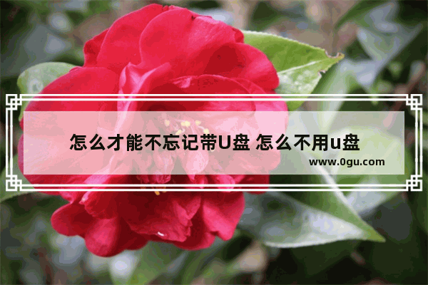 怎么才能不忘记带U盘 怎么不用u盘
