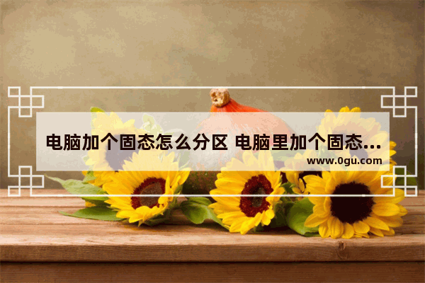 电脑加个固态怎么分区 电脑里加个固态硬盘