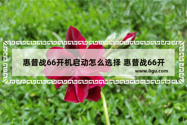 惠普战66开机启动怎么选择 惠普战66开机启动项