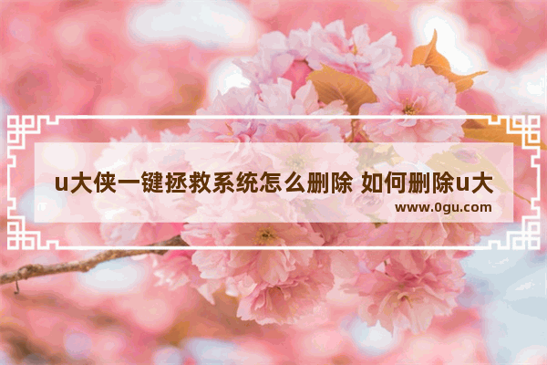 u大侠一键拯救系统怎么删除 如何删除u大侠