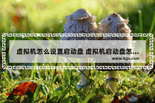 虚拟机怎么设置启动盘 虚拟机启动盘怎么装系统