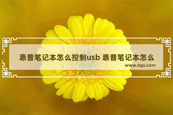 惠普笔记本怎么控制usb 惠普笔记本怎么控制键盘灯