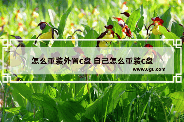 怎么重装外置c盘 自己怎么重装c盘