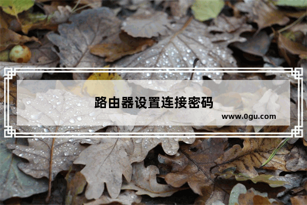 路由器设置连接密码