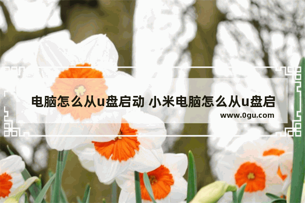 电脑怎么从u盘启动 小米电脑怎么从u盘启动