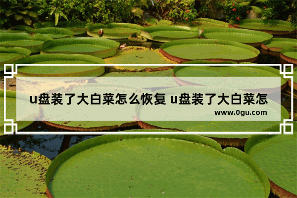 u盘装了大白菜怎么恢复 u盘装了大白菜怎么恢复系统
