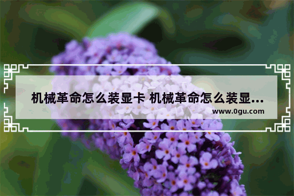 机械革命怎么装显卡 机械革命怎么装显卡驱动程序