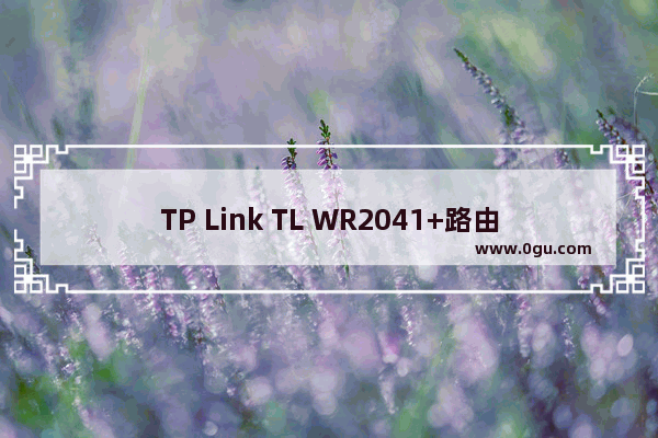 TP Link TL WR2041+路由器端口映射(虚拟服务器)设置上网