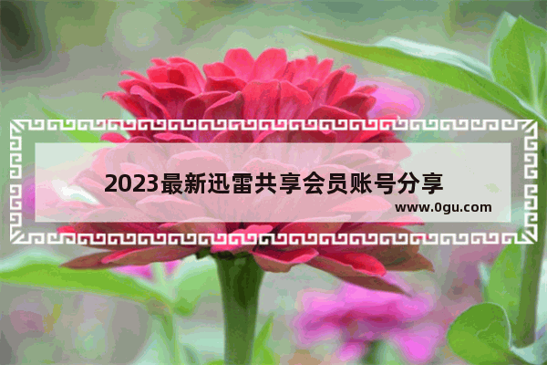2023最新迅雷共享会员账号分享