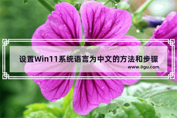 设置Win11系统语言为中文的方法和步骤