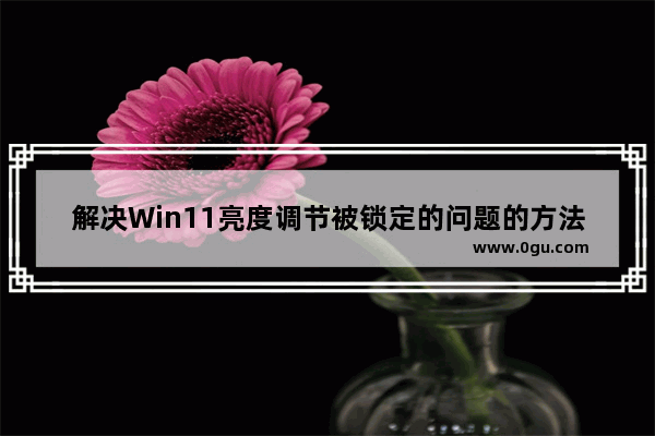 解决Win11亮度调节被锁定的问题的方法和步骤