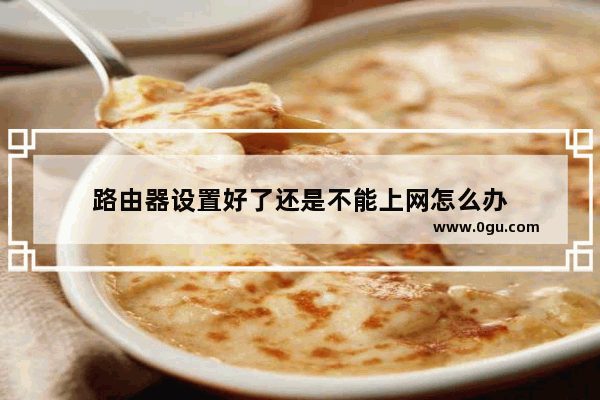 路由器设置好了还是不能上网怎么办