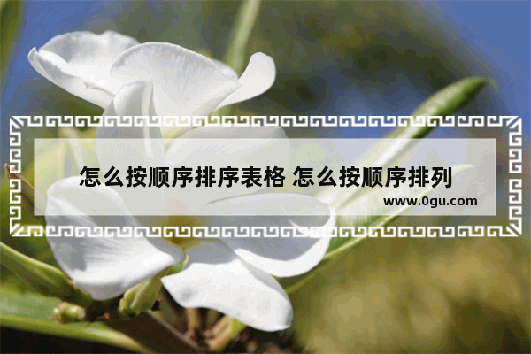 怎么按顺序排序表格 怎么按顺序排列