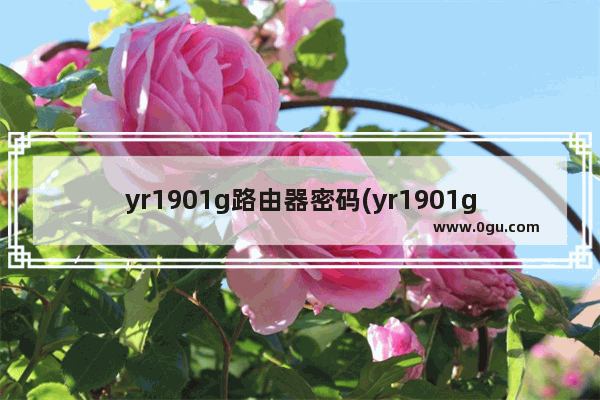 yr1901g路由器密码(yr1901g路由器设置)