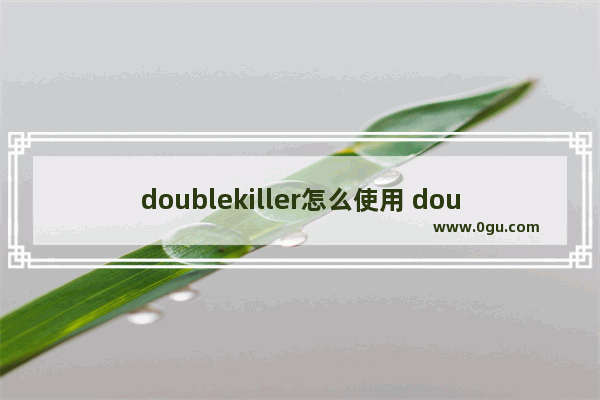 doublekiller怎么使用 doublekiller清理电脑中重复文件的方法