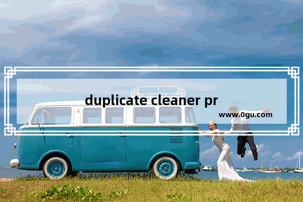 duplicate cleaner pro 5破解版怎么使用 duplicate cleaner pro 5破解版的使用方法