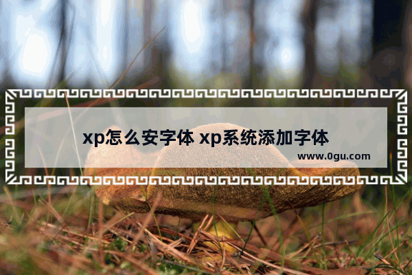 xp怎么安字体 xp系统添加字体