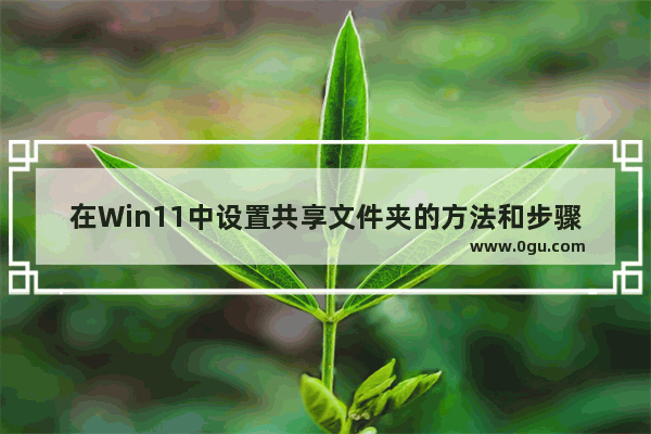 在Win11中设置共享文件夹的方法和步骤