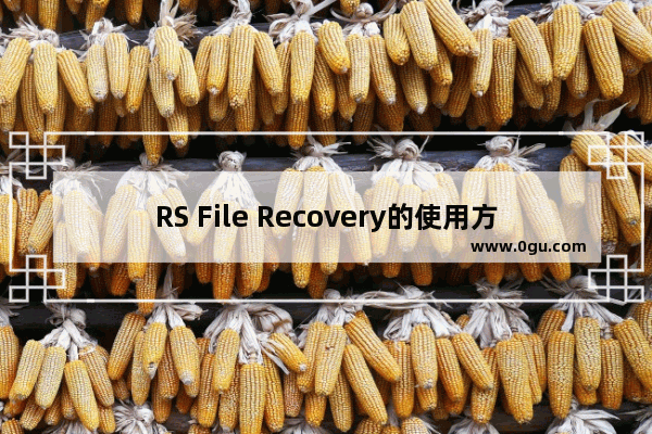RS File Recovery的使用方法 RS File Recovery怎么使用