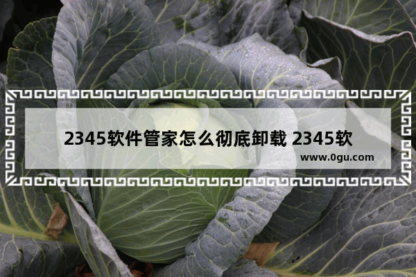 2345软件管家怎么彻底卸载 2345软件管家彻底卸载的方法