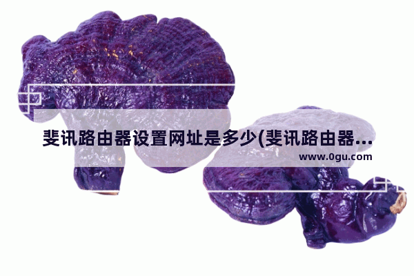 斐讯路由器设置网址是多少(斐讯路由器地址192.168.2.1)