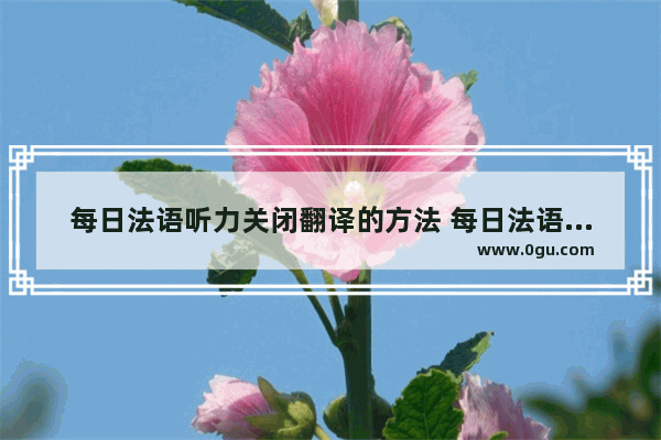 每日法语听力关闭翻译的方法 每日法语听力怎么关闭翻译
