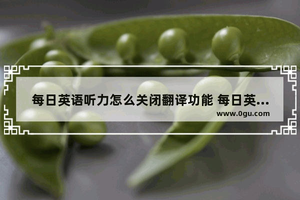 每日英语听力怎么关闭翻译功能 每日英语听力关闭翻译功能的方法
