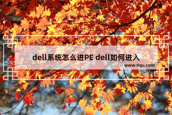 dell系统怎么进PE dell如何进入pe系统
