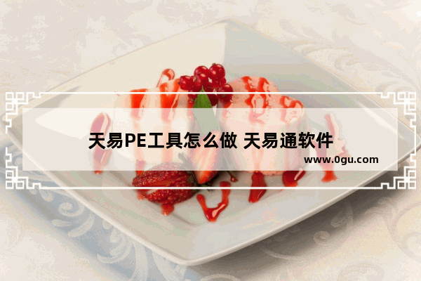 天易PE工具怎么做 天易通软件