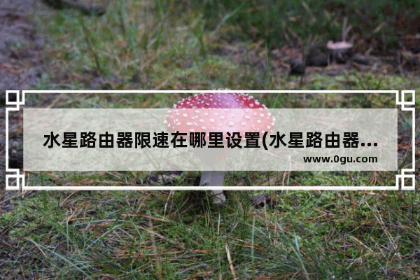 水星路由器限速在哪里设置(水星路由器怎么设置上网速度)
