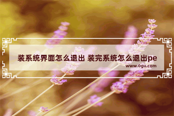 装系统界面怎么退出 装完系统怎么退出pe